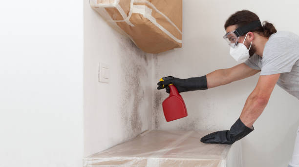 Professional Bathroom Mold Removal technician working in Middleburg, PA